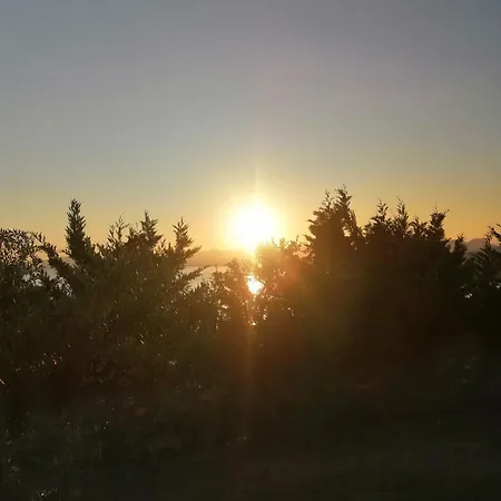 κτημα παυλομπεη Olive & Sea Verga Kalamata