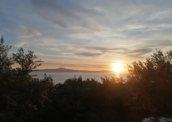 κτημα παυλομπεη Olive & Sea Verga Kalamata